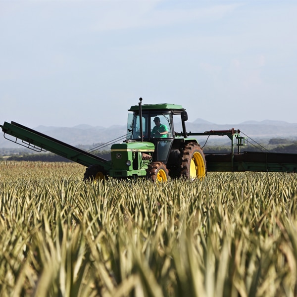 Hose Clamp Tractor